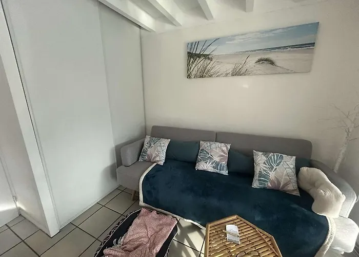 아파트 Maison Proche Avec Beau Jardin 비스카로세